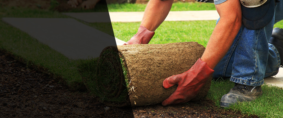 Rock Rapids Landscapers